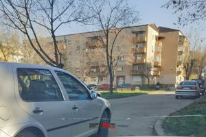 FOTO. Cum şi-a parcat un şofer maşina într-un cartier din municipiul Satu Mare