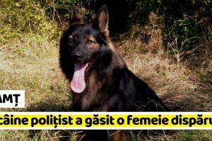 NEAMȚ: Femeie dată dispărută, găsită cu ajutorul câinelui poliţist (FOTO)