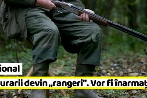 Naţional: În atenţia hoţilor de lemne! Parlamentul a decis ca pădurarii să fie înarmaţi
