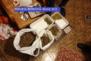 Perchezitii in Capitala si judetul Buzau, intr-un dosar de trafic de droguri de mare risc