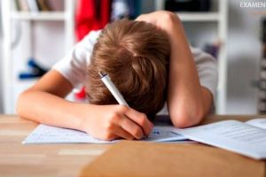 Revolta unei mame împotriva unei teme aberante primite de fiul ei: De aia nu mai pot unii care se cred pe plantatie in scoala!