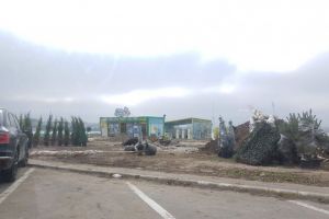 Constanteanul suparat:  Operatiunea taierea copacilor“ de pe malul lacului Siutghiol se dovedeste a fi, de fapt, o reamenajare a zonei. Parteneriat intre Primarie si afaceristii din Mamaia (galerie foto)