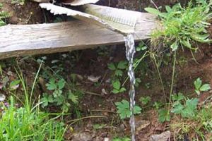 Să ne însemnăm că...(II)