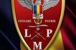 Sa-l ajutam pe Șerban: Liga Militarilor Profesionisti face un apel umanitar