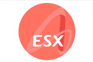 ESX – sistemul prin care mersul la sală este mai eficient oriunde