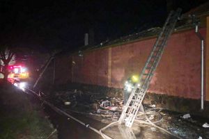 Incendiu violent în Lunca. Doi porci au ars de vii (FOTO / VIDEO)