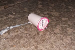 2 lei dai, 2 lei face! Copiii joacă fotbal cu laptele şi cornul