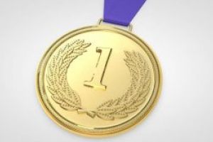 Consilierii locali au aprobat acordarea Medaliei de excelenta a Municipiului Baia Mare. Cine o va putea primi