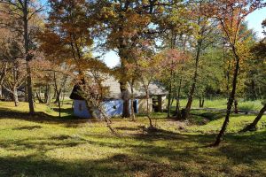 Vremea va fi caldă. Maximele vor atinge 17 grade Celsius!