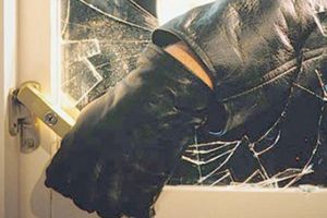 Cercetaţi pentru furt şi infracţiuni rutiere