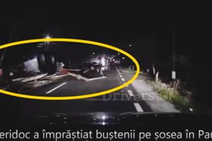 VIDEO. Pericol public între Satu Mare şi Carei. Buşteni pe şosea!