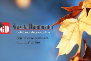8 ani de Gazeta Dâmboviţei! Vă mulţumim tuturor pentru susţinere!
