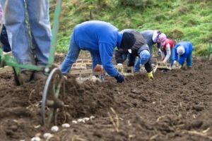 ANUNȚ: loc de muncă