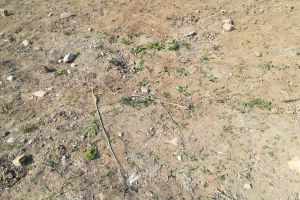 Mobilizare exemplară – succes deplin în salvarea vieţii unui om!