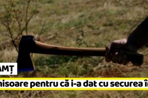 NEAMȚ: I-a dat cu securea în cap… 1 an şi 6 luni de închisoare