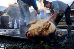 Mare atenţie! 12 cazuri de trichineloză în Satu Mare! Sfatul specialiştilor