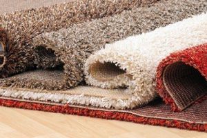 Minor de 17 ani, cercetat penal după ce a furat un covor, în valoare de 700 de lei, lăsat în scara unui bloc din Cugir