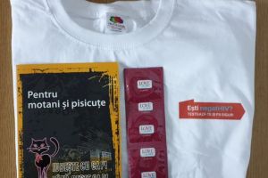 „Comunităţile fac diferenţa”- Campania care îi informează pe studenţi despre infecţia cu HIV