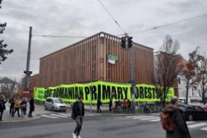 Holzindustrie Schweighofer, luata in vizor la Viena: Activistii au cerut firmei sa ocoleasca padurile seculare din Romania