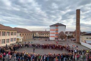 FOTO. Ziua Naţională, sărbătorită la Liceul de Arte ”Regina Maria” din Alba Iulia: 300 de elevi au alcătuit harta umană a României