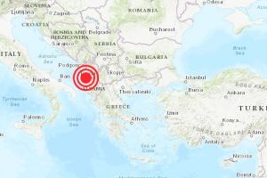 Trei caini din Romania participa la operatiunile de salvare din Albania