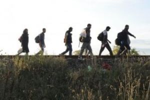 Zeci de migranti au fost descoperiti intr-un tunel clandestin sub frontiera dintre Ungaria si Serbia