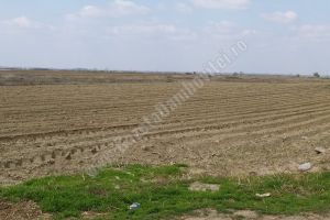 APIA Dâmboviţa: Au beneficiat de plăţi în avans 21.424 de fermieri, reprezentând un procent de 90,39%