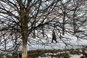 Sântandrei – noaptea actelor magice! Credinţe populare despre noapte spiritelor