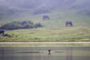 Idei multe, bani puţini pentru dezvoltarea zonei turistice Poiana Mărului – Muntele Mic