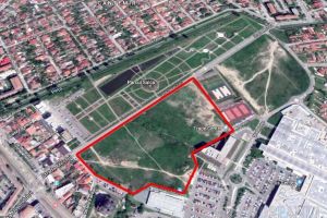 Parc-şcoală: Primăria vrea o grădină botanică în Parcul Salca. Ce cred orădenii despre asta?