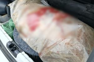 Braconierii prinşi cu căprioara moartă în portbagaj, la instanţă!