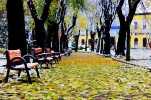 Avertizare METEO. Sunt aşteptate ninsori în nord-vestul României