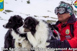 Câinii de avalanşă au propria lege în România