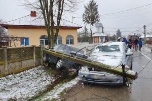 Viteza era să-i omoare! Imagini de la accidentul de pe DJ 712
