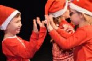 Regal pentru centenarul bănăţean în Cetatea Caransebeşului