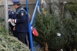 Încep controalele tematice de Crăciun!