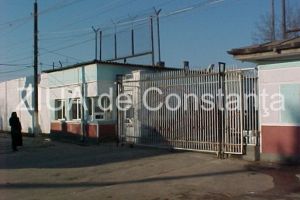 Doi tineri au fost introdusi in Penitenciarul Poarta Alba. Ce infractiuni au comis