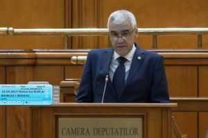 Deputatul Calotă Florică Ică, vot favorabil pentru înarmarea pădurarilor