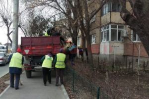 Post vacant de muncitor calificat, la Primăria Municipiului Gheorgheni
