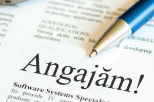 300 de joburi disponibile  pentru persoanele aflate în căutarea unui loc de muncă