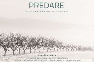 ”Predare” – Expoziţia Asociaţiei Fotoclub Homorod în spaţiul din clădirea Consiliului Judeţean Harghita
