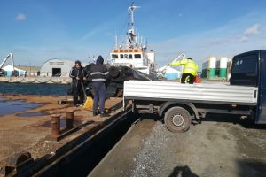 Ecologizarea zonei din dreptul navei Queen Hind, aproape de final (galerie foto) 