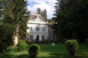 Moştenitorii castelului de la Arcuş au pierdut procesul la Tribunalul Galaţi şi fac recurs la Înalta Curte