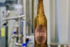 Comoara regelui Scorilo, găsită într-o peşteră din Poiana Mărului! Are culoarea aurului dacic şi e făcută din apă rece de munte!