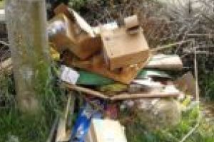 Garda de Mediu Timiş: amenzi în valoare de 200.000 de lei într-o singură lună!