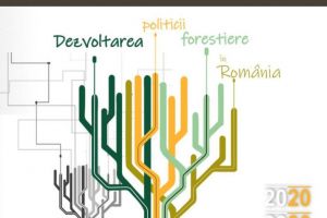 Facultatea de Silvicultură propune o serie de principii de dezvoltare a politicii forestiere