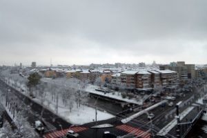 Ninge in Baia Mare (FOTO)