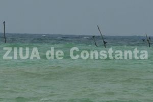 Investitii in sudul judetului Constanta pentru dezvoltarea productiei in acvacultura (document)