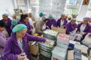 Asociatia Suflete deschise“ si Arimex Comexim 2000 au impartit pachete persoanelor nevoiase (galerie foto)