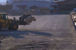 Câte firme din judeţ activează în domeniul forestier. Una singură are afaceri de 20,4 mil euro